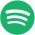 Spotify Logo Icon
