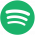 Spotify Logo Icon